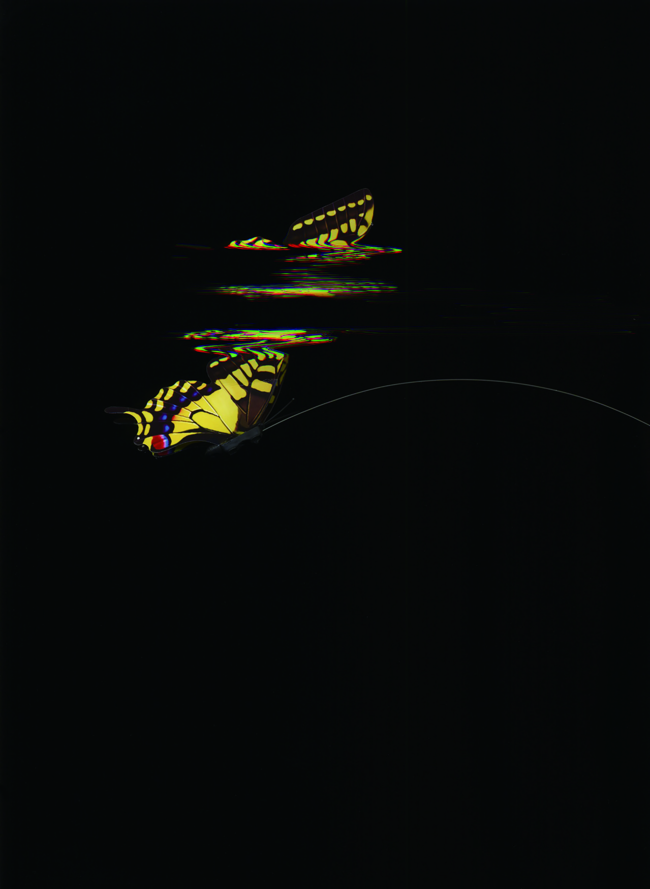 毛利悠子《Pleated Image》2016年–